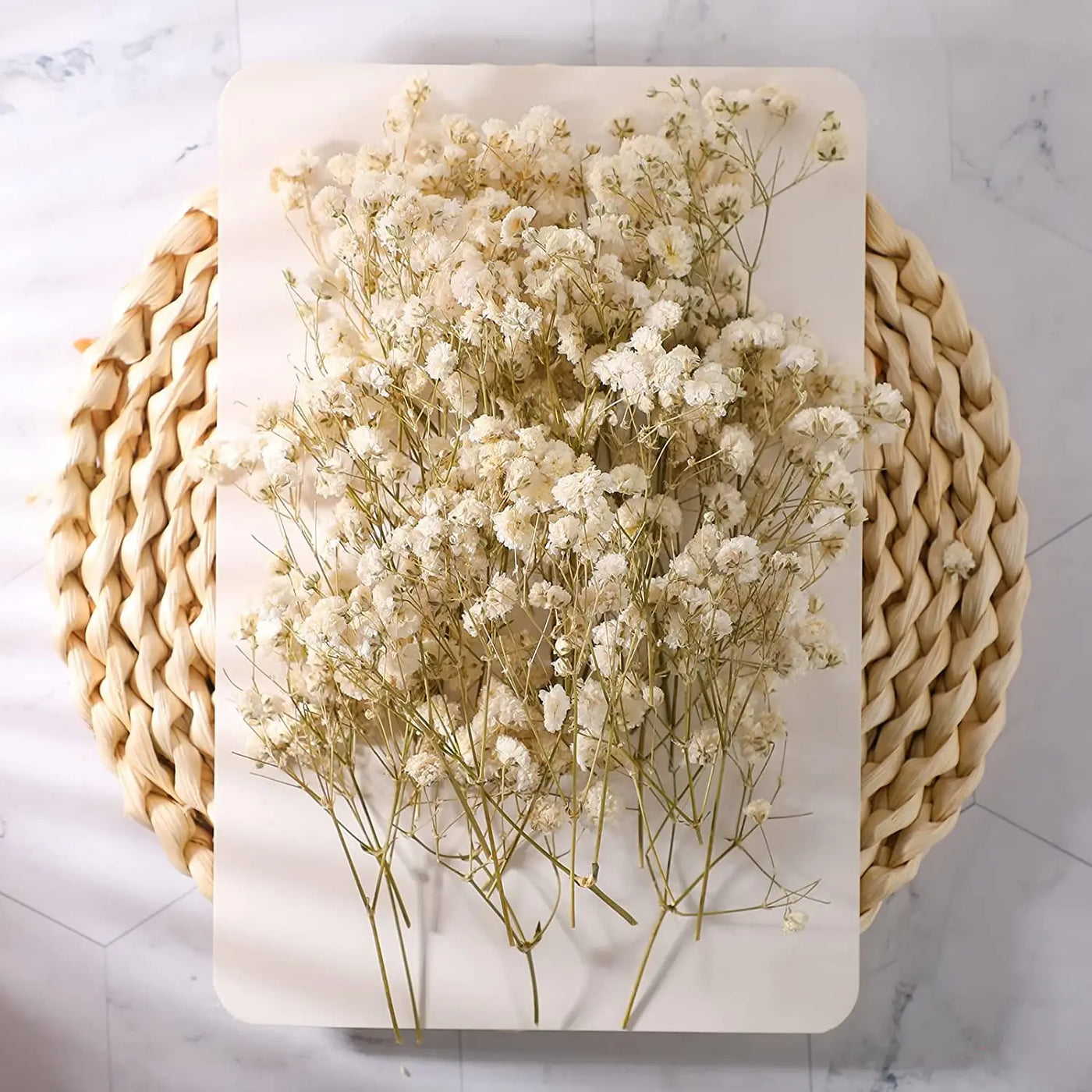 50pcs Mini Dried Baby Breath Flower Gypsophila Ivory Natural Flowers for Vase Wedding Home Office Party Garden Card Making Decor