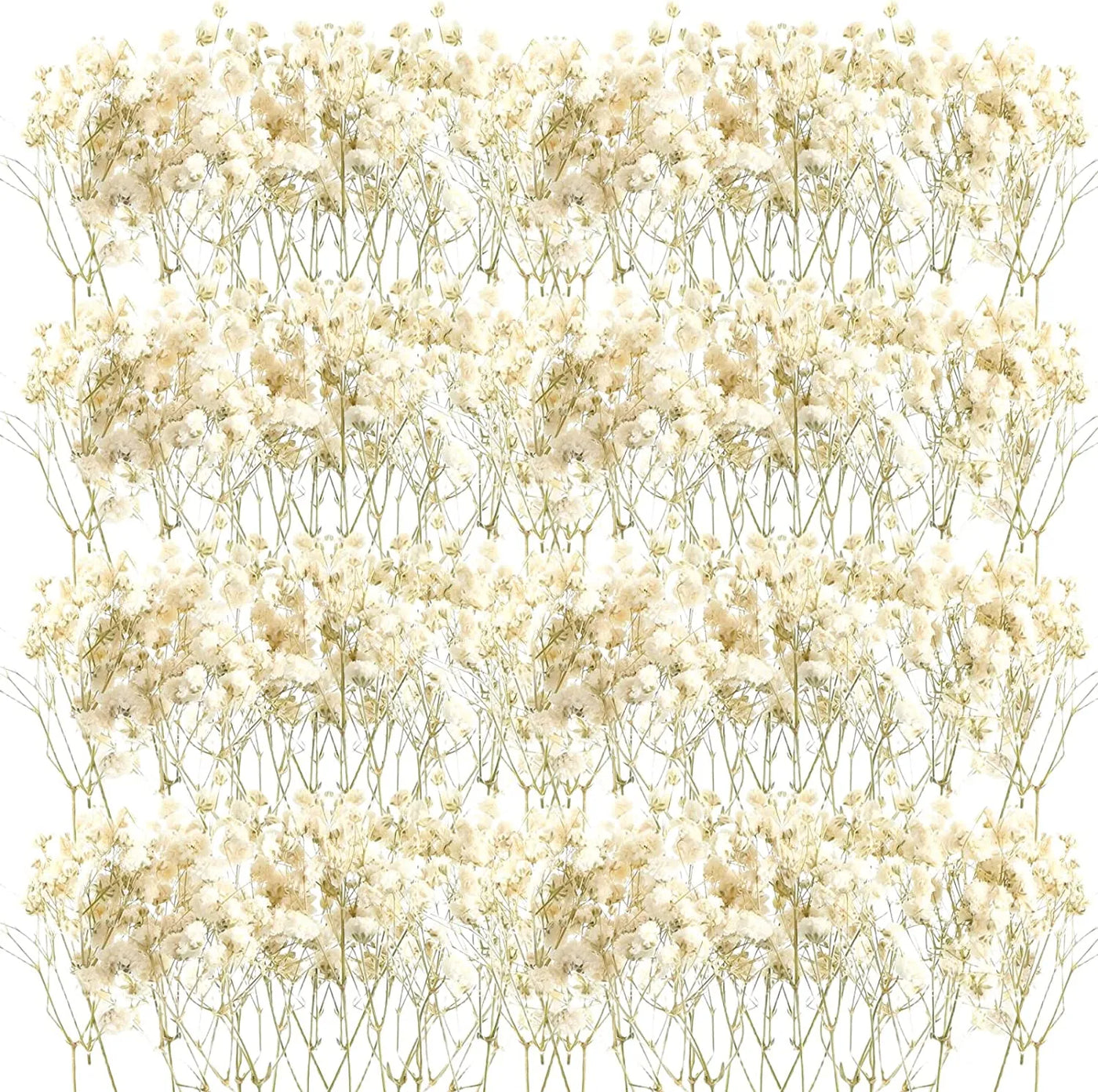 47474935824688|47474935890224