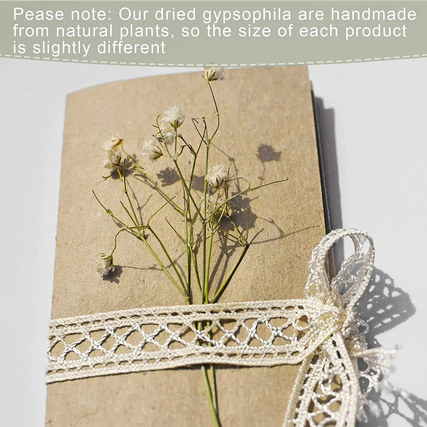 50pcs Mini Dried Baby Breath Flower Gypsophila Ivory Natural Flowers for Vase Wedding Home Office Party Garden Card Making Decor