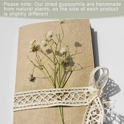 50pcs Mini Dried Baby Breath Flower Gypsophila Ivory Natural Flowers for Vase Wedding Home Office Party Garden Card Making Decor